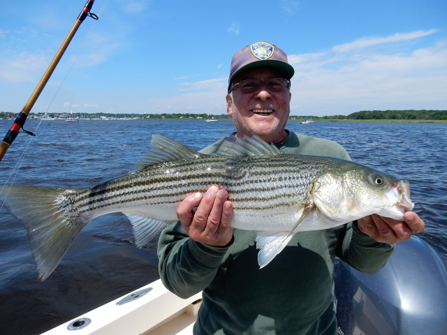 Merrimack striper caught by Mike